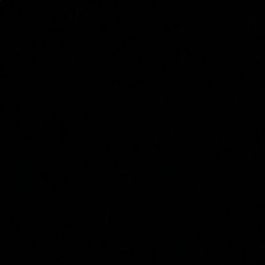 Meet your Posher, Jake